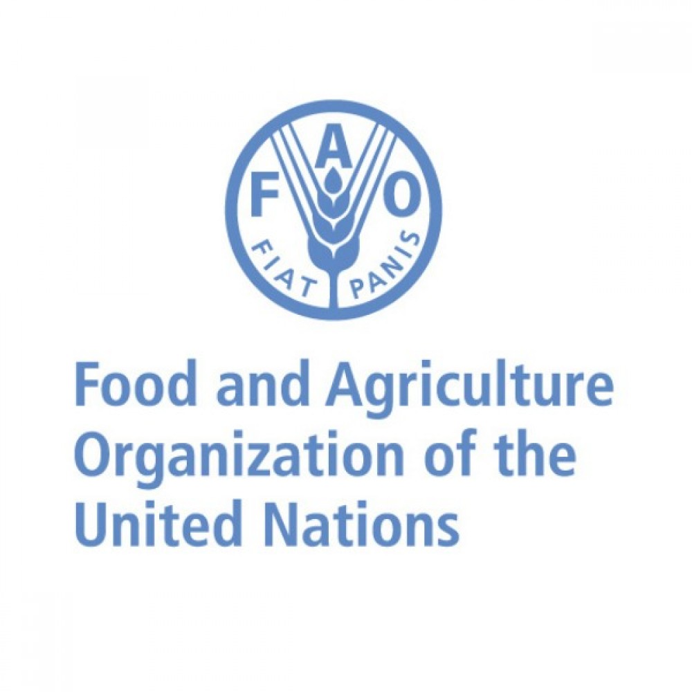 Tunisia-Tunisia hosts FAO Symposium on improving water productivity in  agriculture - Tunisia News