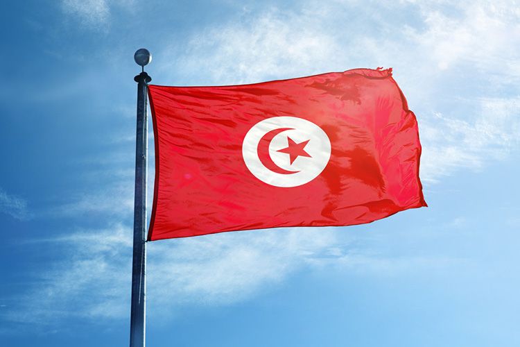 Tunisia-Video:Despite curfew, Tunisians sing the national anthem to ...