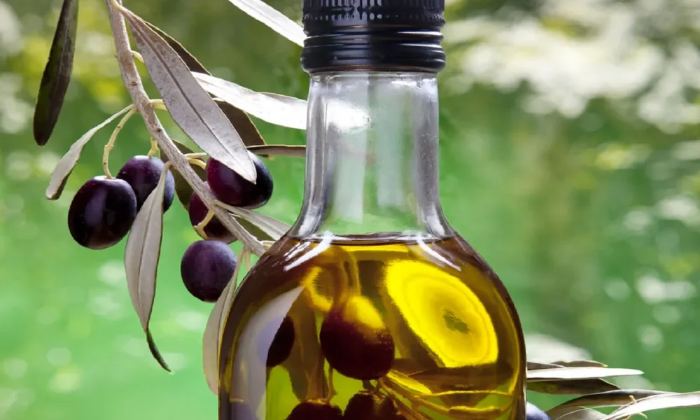 Gabès: Olive production estimated at 50,000 tonnes, down 31.5% from last season