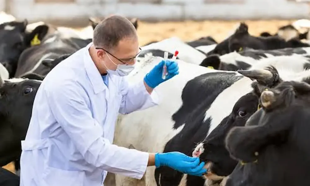 Tunisia boosts animal health surveillance ahead of mosquito and vector season